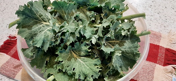 Kales Up! Easy-To-Grow, Nutritious Greens