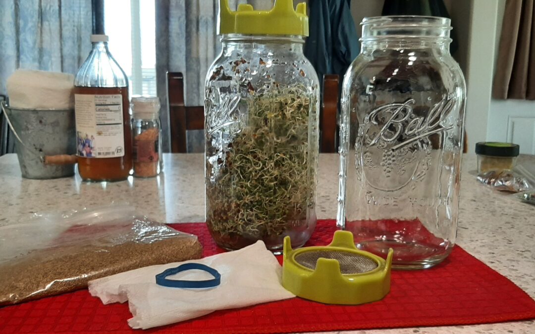 How to Grow Sprouts at Home in a Jar (Easy Step-by-Step Guide)