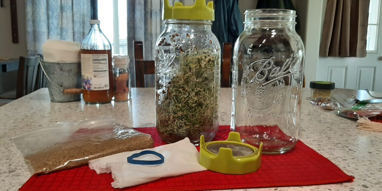How to Grow Sprouts at Home in a Jar (Easy Step-by-Step Guide)