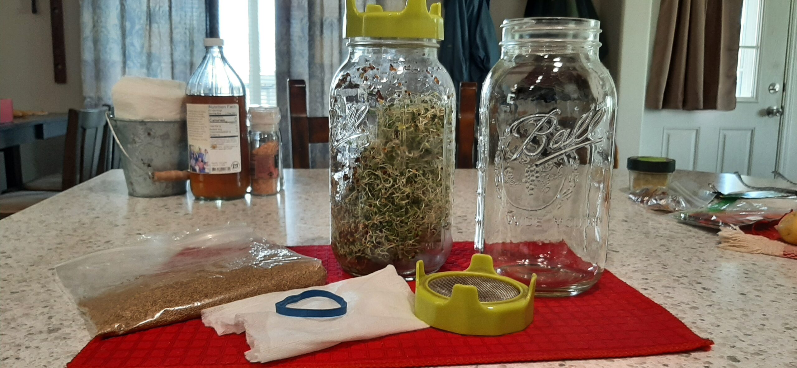Grow Sprouts in a Jar