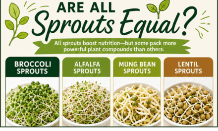 Are All Sprouts Equal? Here’s What Makes Each One Special