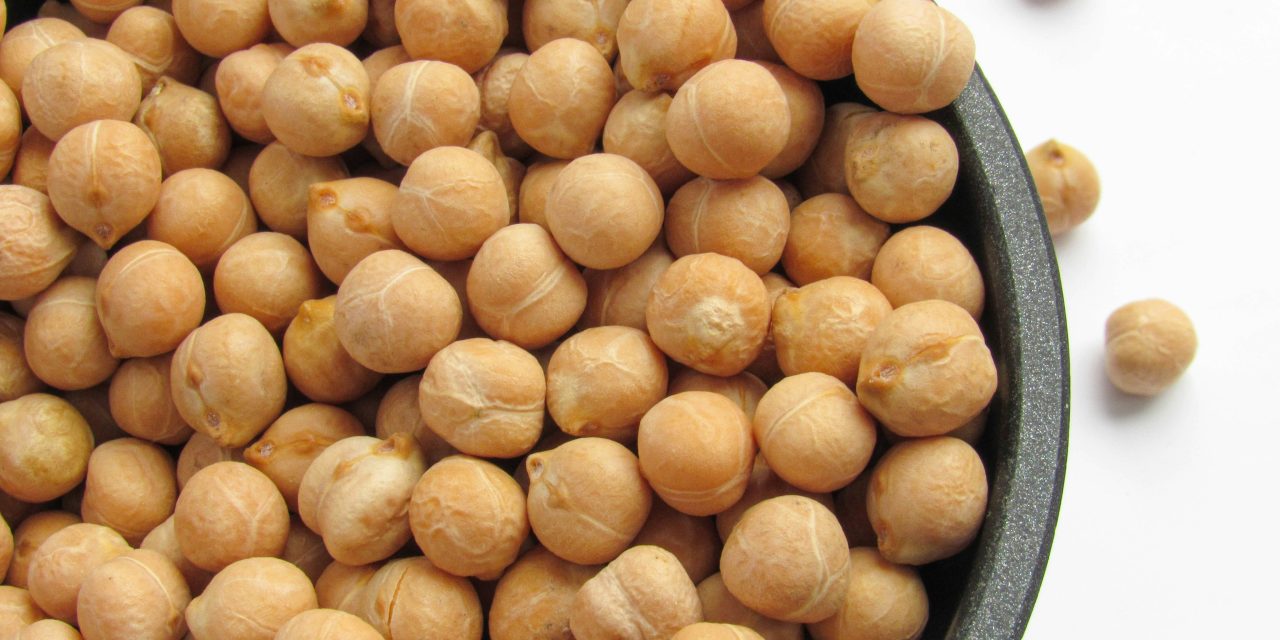 Chickpeas: A Plant-Based Protein Powerhouse + Simple Hummus Recipe