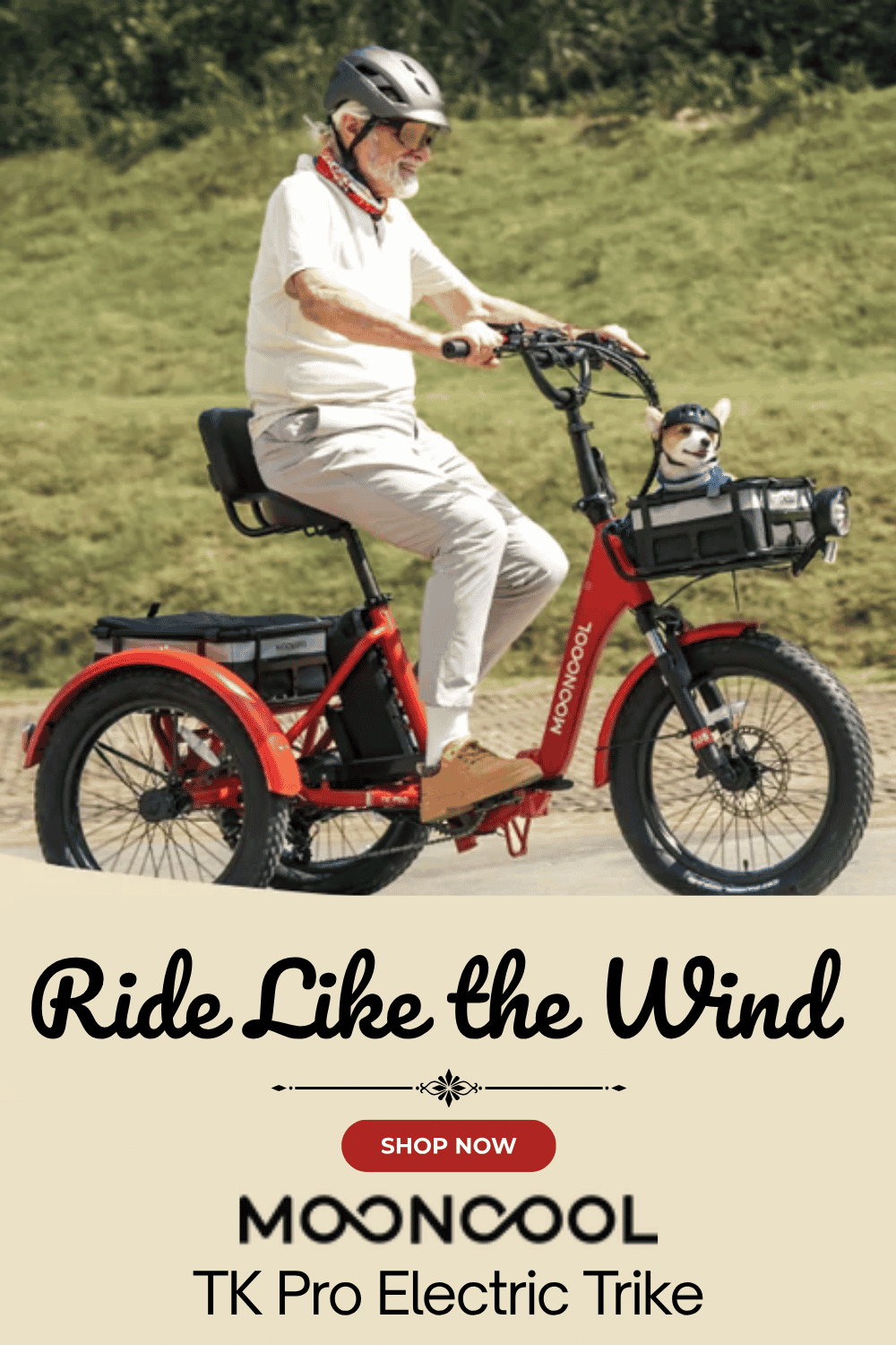 Ride Like the Wind with Mooncool Electric Trikes